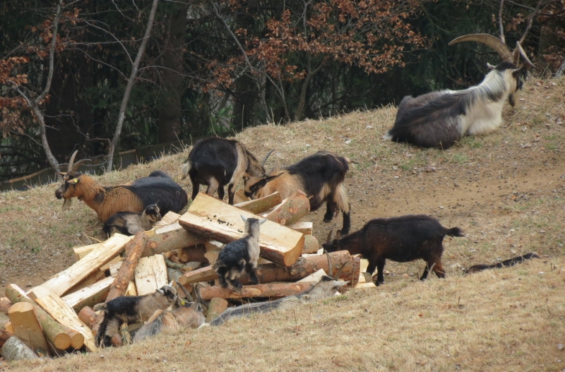 Случайная Италия. Просто погулять. Бергамо-Больцано-Брешиа, март 2017.