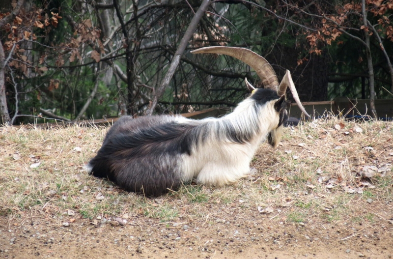 Случайная Италия. Просто погулять. Бергамо-Больцано-Брешиа, март 2017.