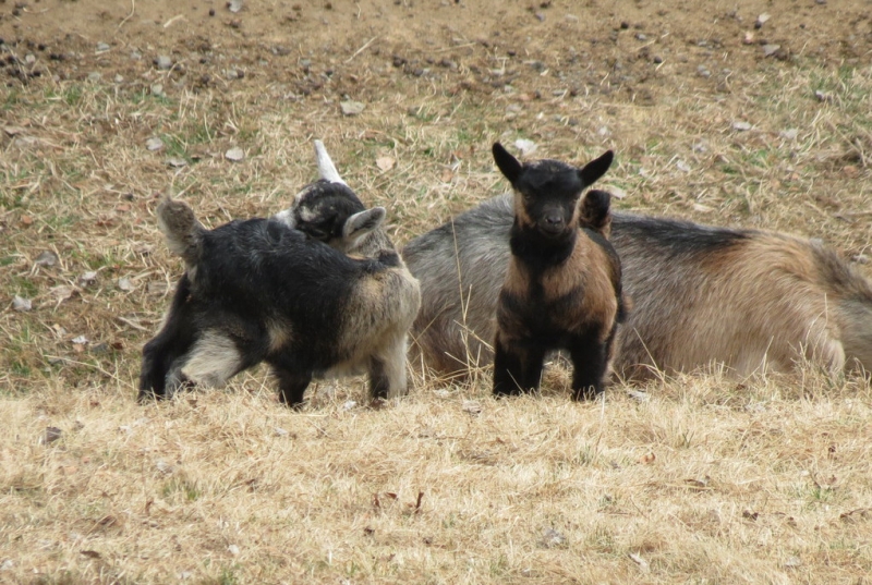 Случайная Италия. Просто погулять. Бергамо-Больцано-Брешиа, март 2017.