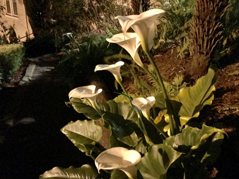 Большие города . Запад и Восток США