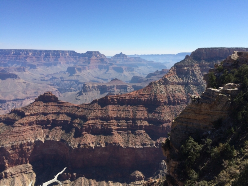 Без машины: Лос-Анджелес - Сан-Диего - Сан-Франциско - Лас-Вегас - Чикаго - Нью-Йорк и каньоны? - Done!