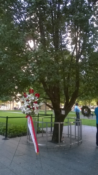 Без машины: Лос-Анджелес - Сан-Диего - Сан-Франциско - Лас-Вегас - Чикаго - Нью-Йорк и каньоны? - Done!