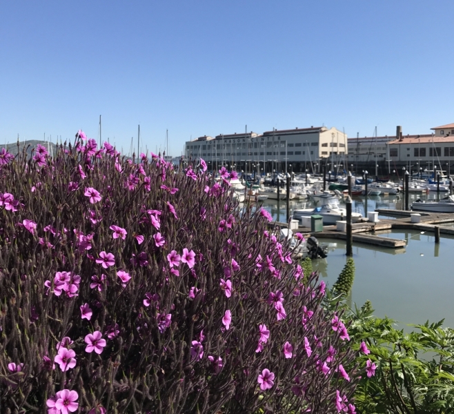 Большие города . Запад и Восток США