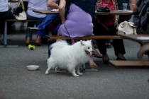 Путешествие "Швейцария-Италия" в июле 2011г.