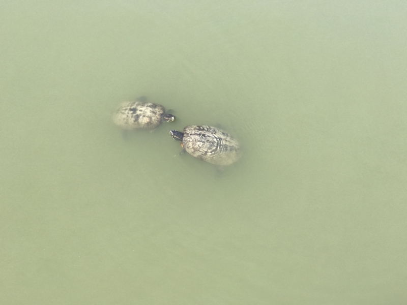 Большие города . Запад и Восток США