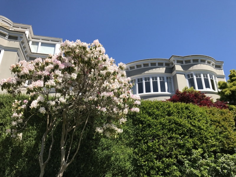 Большие города . Запад и Восток США