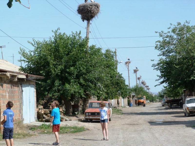 Южная головоломка Закавказья (Азербайджан, Армения и немножко Грузии) - отчет завершен!