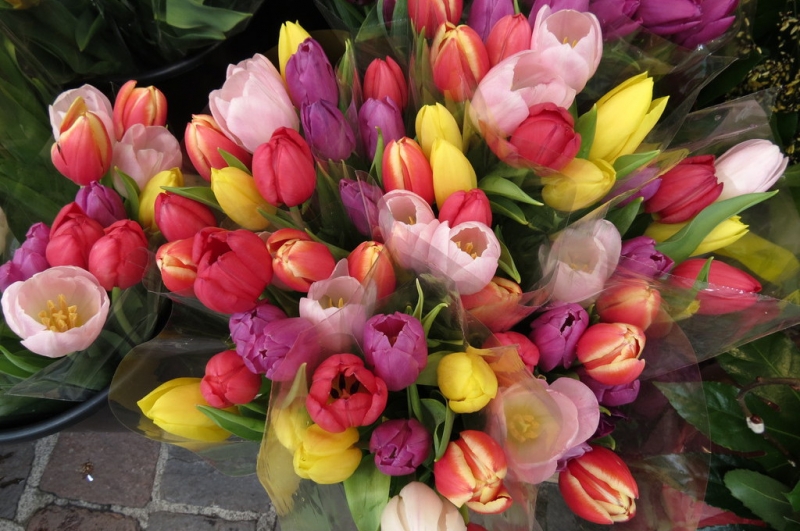 Случайная Италия. Просто погулять. Бергамо-Больцано-Брешиа, март 2017.