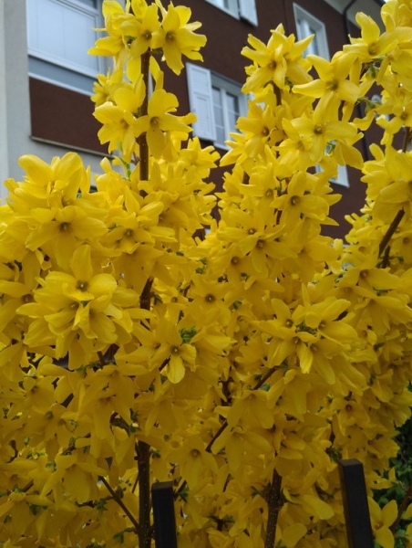 Случайная Италия. Просто погулять. Бергамо-Больцано-Брешиа, март 2017.