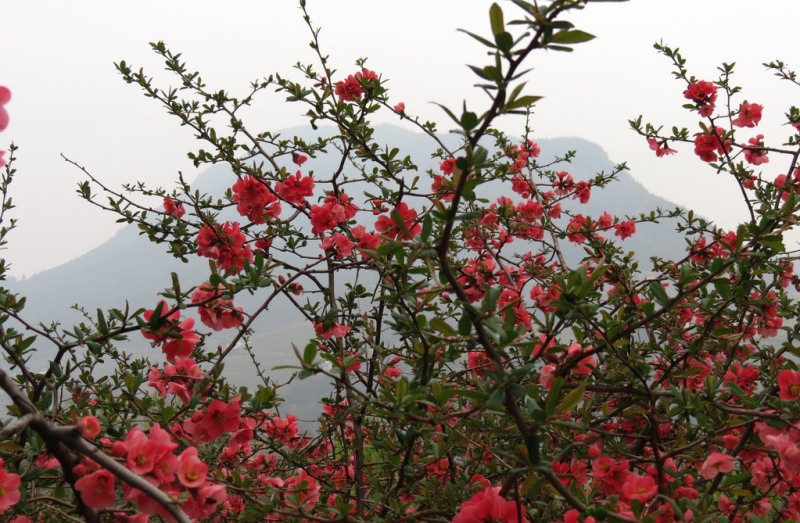 Случайная Италия. Просто погулять. Бергамо-Больцано-Брешиа, март 2017.