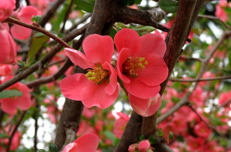 Случайная Италия. Просто погулять. Бергамо-Больцано-Брешиа, март 2017.