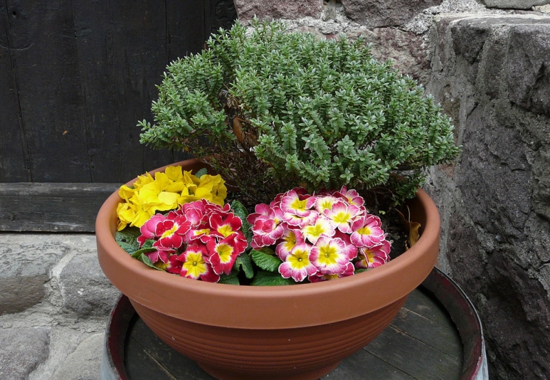 Случайная Италия. Просто погулять. Бергамо-Больцано-Брешиа, март 2017.