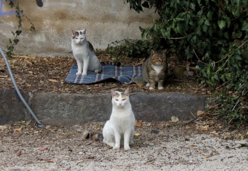 Случайная Италия. Просто погулять. Бергамо-Больцано-Брешиа, март 2017.