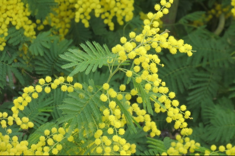 Случайная Италия. Просто погулять. Бергамо-Больцано-Брешиа, март 2017.