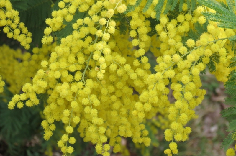 Случайная Италия. Просто погулять. Бергамо-Больцано-Брешиа, март 2017.