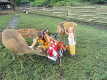 Первый в жизни зоопарк