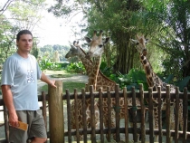 Зоопарк Сингапура