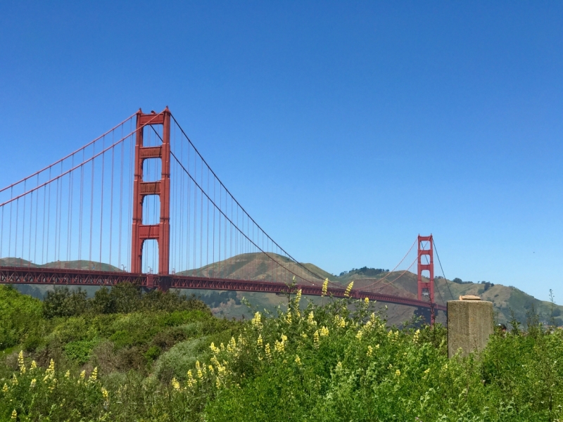 Большие города . Запад и Восток США