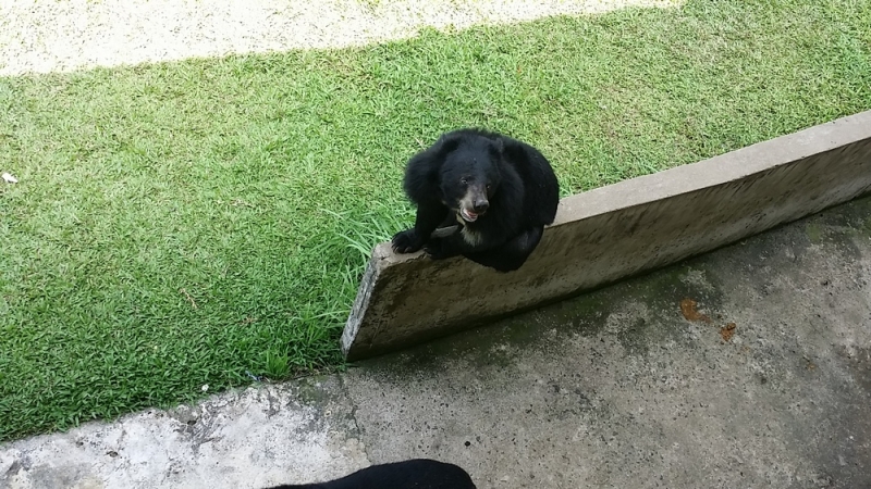 Нячанг. Вторая половина марта 2017