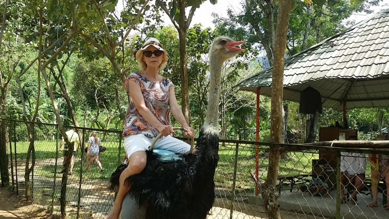 Нячанг. Вторая половина марта 2017