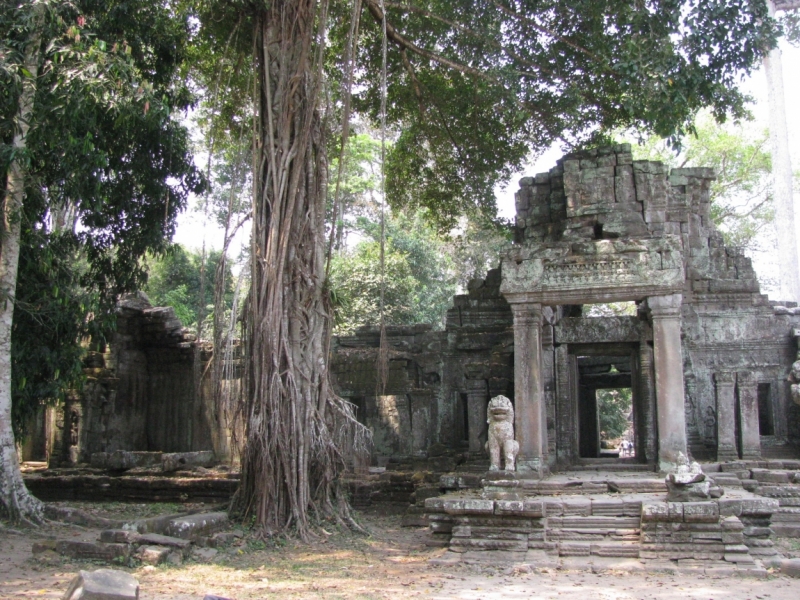 Такая разная Индонезия (Март 2017 года)