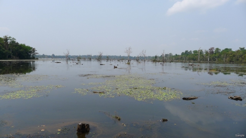 Такая разная Индонезия (Март 2017 года)
