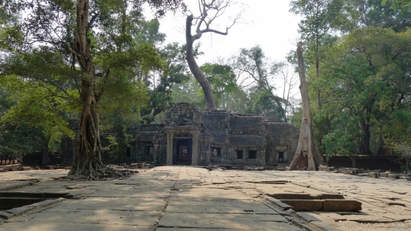 Такая разная Индонезия (Март 2017 года)