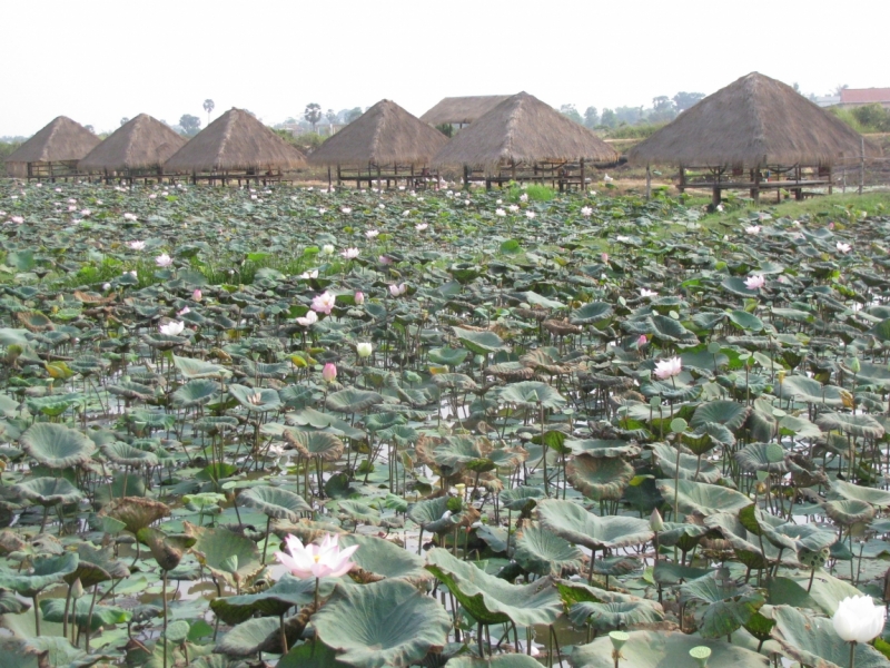 Такая разная Индонезия (Март 2017 года)