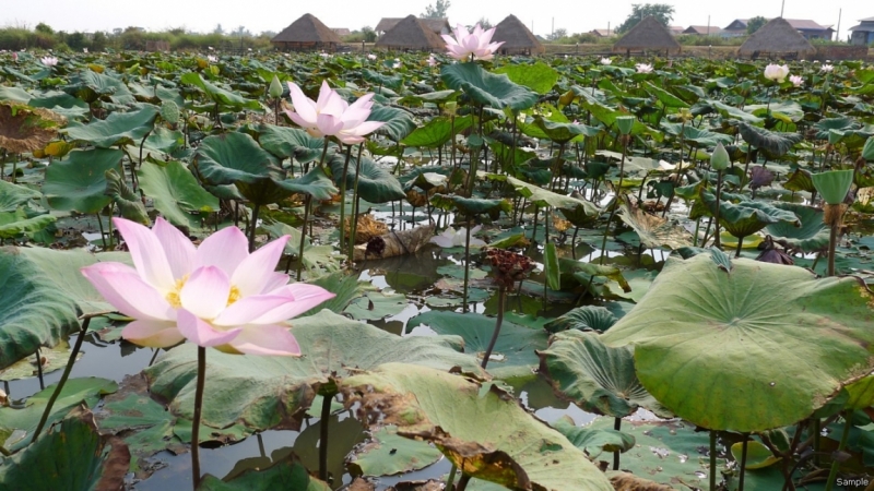 Такая разная Индонезия (Март 2017 года)