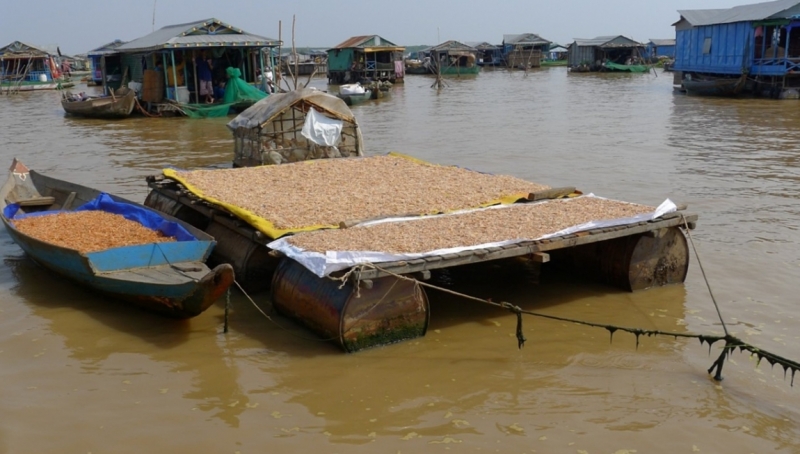 Такая разная Индонезия (Март 2017 года)