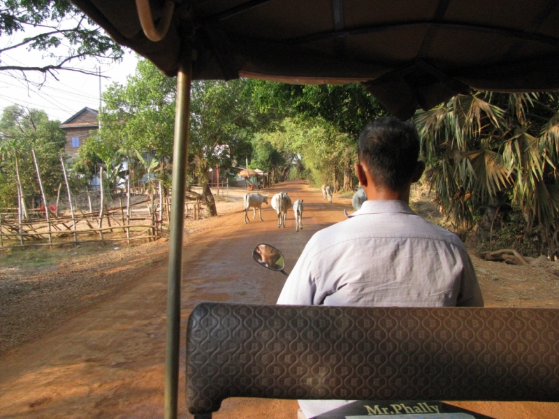 Такая разная Индонезия (Март 2017 года)