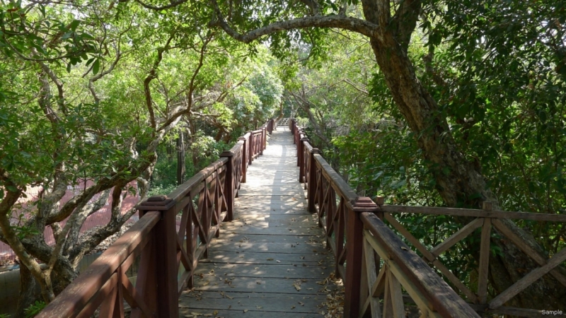 Такая разная Индонезия (Март 2017 года)