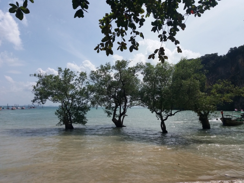 Второй заход. Наш теплый декабрь 2016 (Пхукет, Краби, Бангкок)