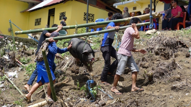 Такая разная Индонезия (Март 2017 года)