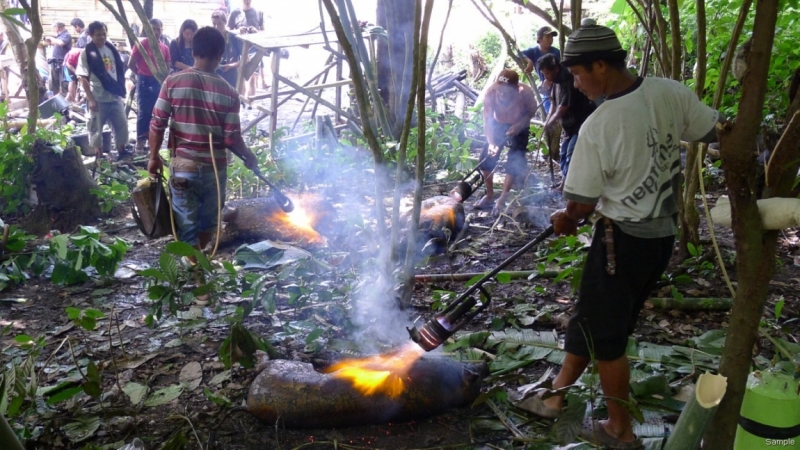 Такая разная Индонезия (Март 2017 года)