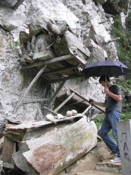 Такая разная Индонезия (Март 2017 года)