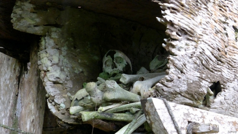 Такая разная Индонезия (Март 2017 года)