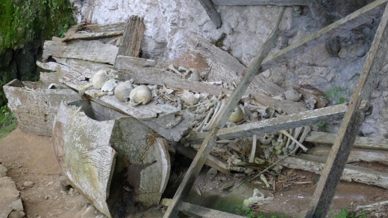 Такая разная Индонезия (Март 2017 года)