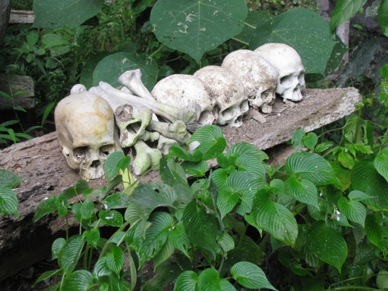 Такая разная Индонезия (Март 2017 года)