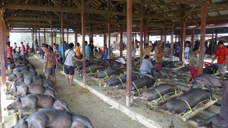 Такая разная Индонезия (Март 2017 года)