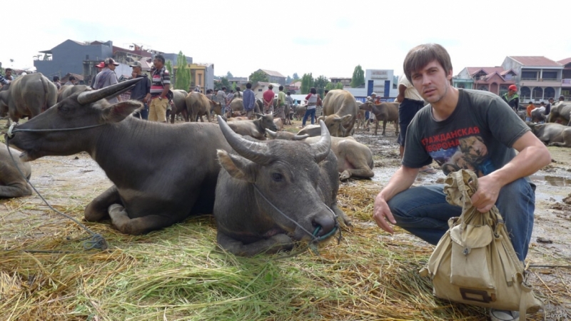 Такая разная Индонезия (Март 2017 года)