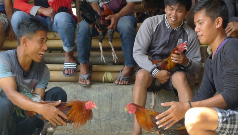 Такая разная Индонезия (Март 2017 года)