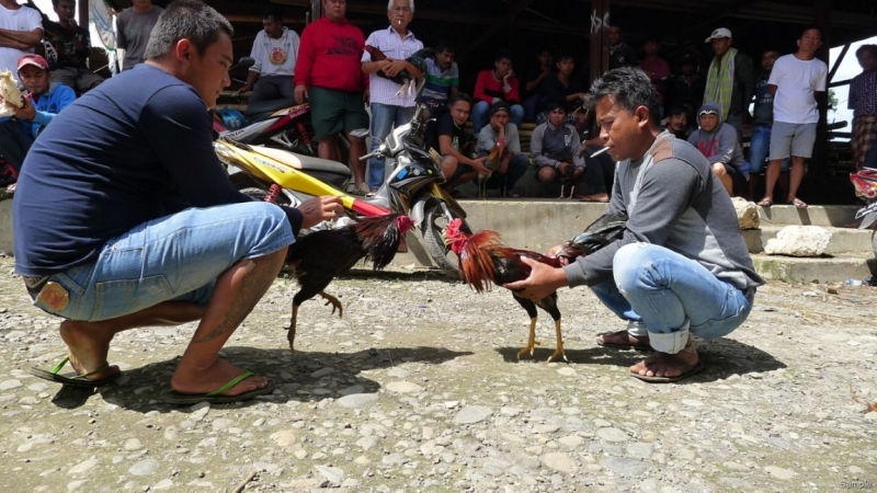 Такая разная Индонезия (Март 2017 года)