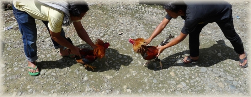 Такая разная Индонезия (Март 2017 года)