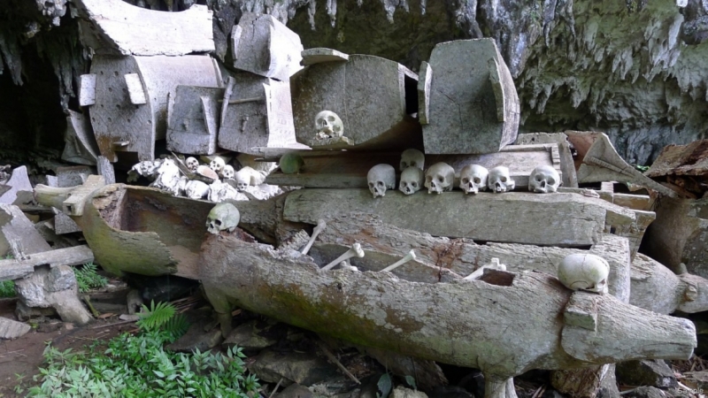 Такая разная Индонезия (Март 2017 года)