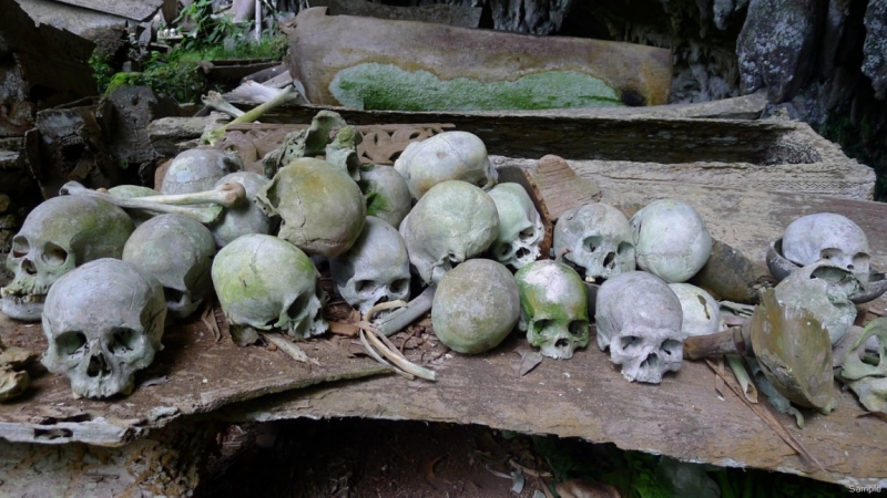 Такая разная Индонезия (Март 2017 года)