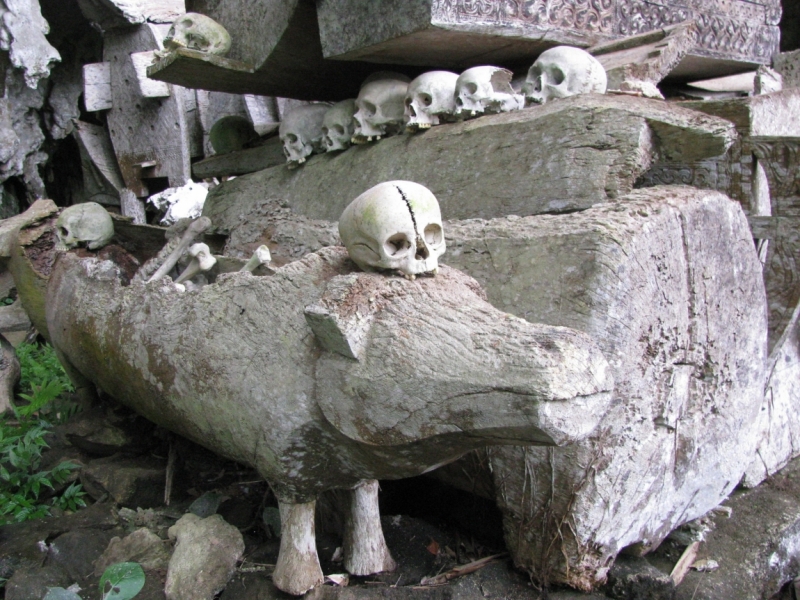 Такая разная Индонезия (Март 2017 года)