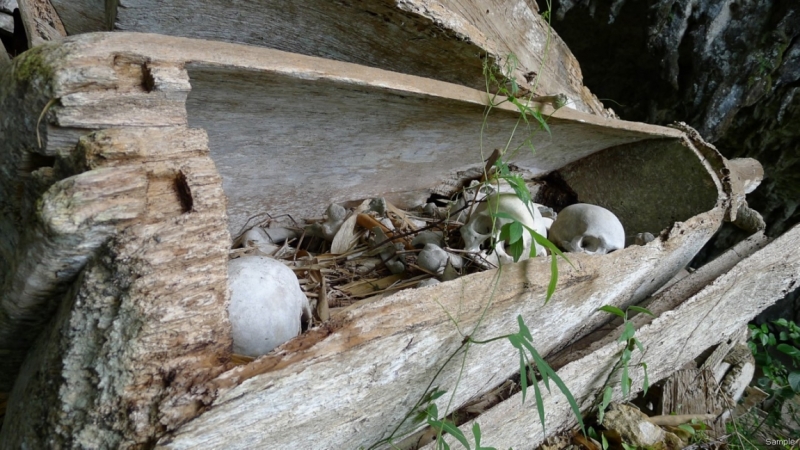 Такая разная Индонезия (Март 2017 года)