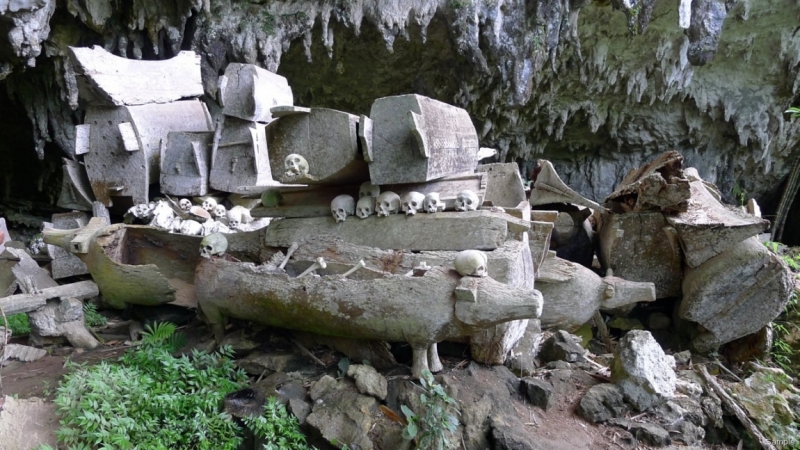 Такая разная Индонезия (Март 2017 года)