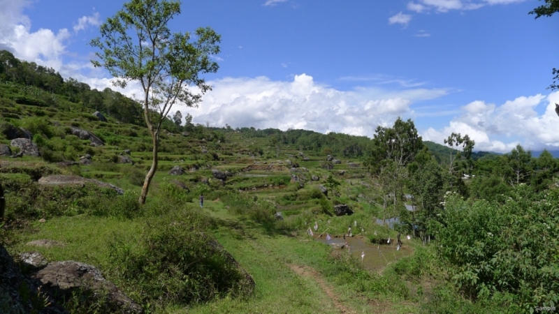 Такая разная Индонезия (Март 2017 года)
